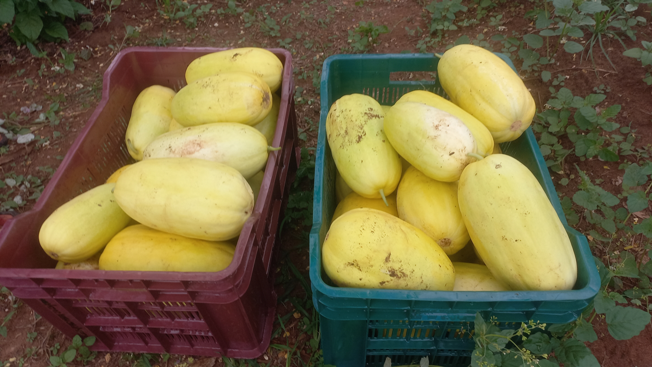 Fruits Frais de la Ferme